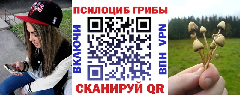 Галлюциногенные грибы ЛСД наркошоп нарко площадка наркотические препараты Кяхта