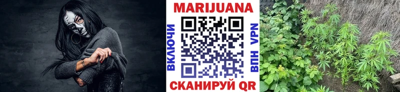 МАРИХУАНА ГИДРОПОН  MEGA вход  Кяхта 
